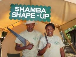 shamba